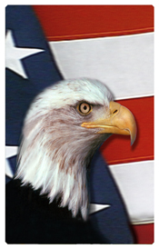 DNSHERT C 410 With Love and Honor